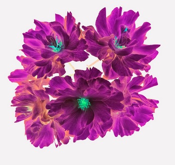 F 053C